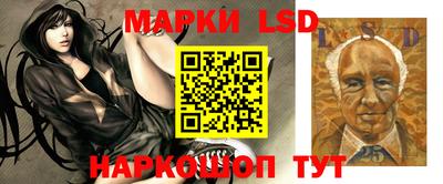 mdpv Кимры