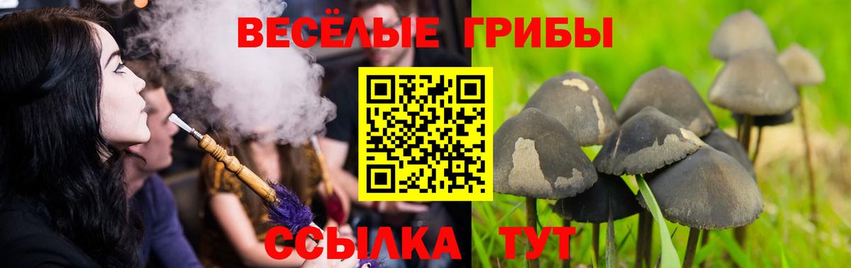 Лиски  Галлюциногенные грибы мухоморы  Вход с VPN  Псилоцибиновые грибы Cubensis 